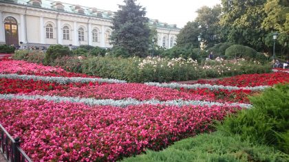 Flowers Expo 2017 Moskva / fotogalerie / DSC_0349