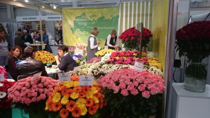 Flowers Expo 2017 Moskva / fotogalerie / DSC_0420