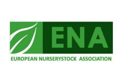 ENA – Kyjev 2019