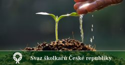 Školky Mcely hledají školkaře