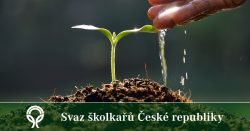 Zpráva o činnosti spolku za rok 2017