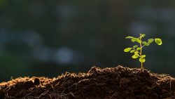 Setkání s řediteli a zástupci středních škol 2017